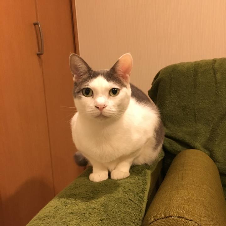 786de94e 115d 4be2 912b 79fed21041f5