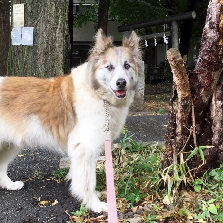 786e1fde 14a5 4193 9d03 3df98d487abb