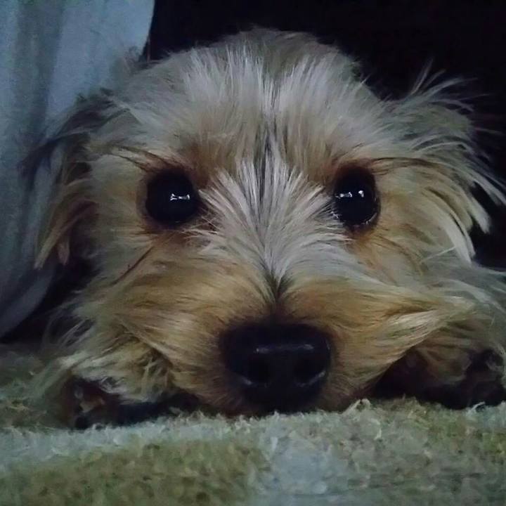 786f0060 c75d 4aa6 b0c9 2647afc19a21