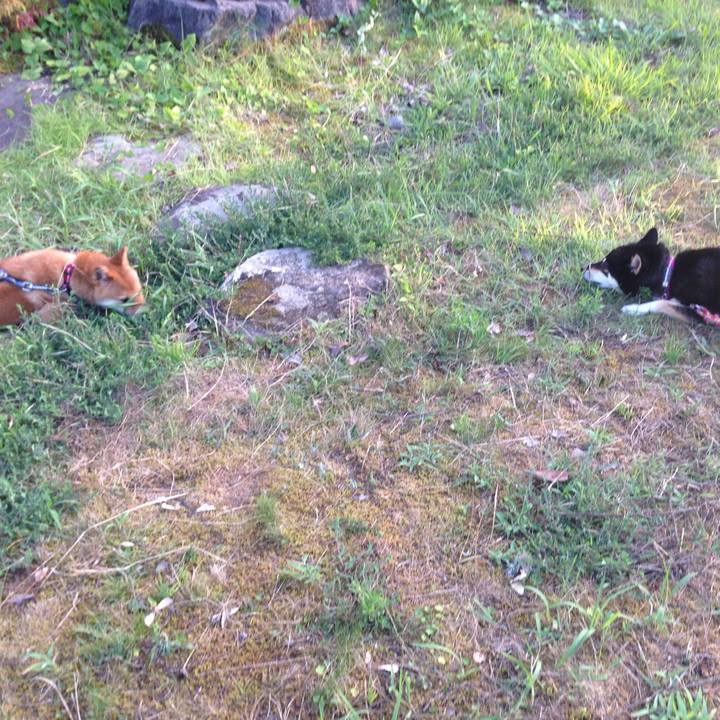 786f1d5d f428 4799 94d0 0886aef288a6