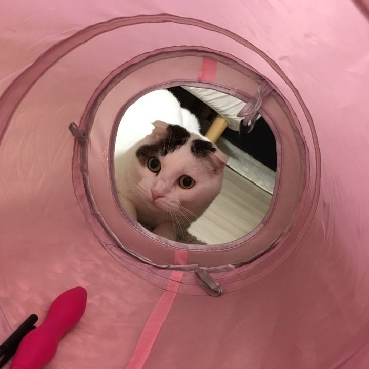 786f7a71 9982 4b58 affb bfdb9435ba59