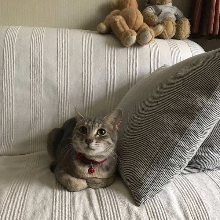 786fe7da a1d0 41a1 bb82 3562457c28cb