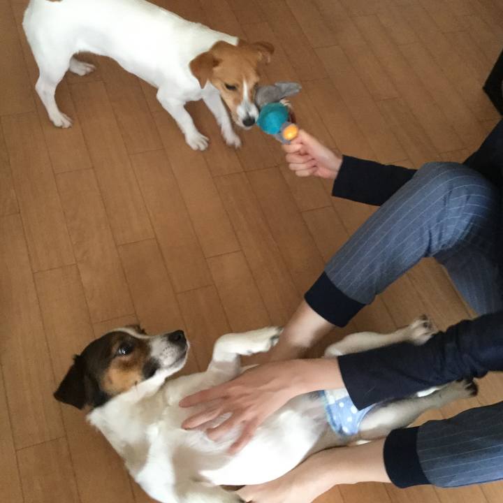 7870459f 2035 45ba 9b81 902796b0fc26