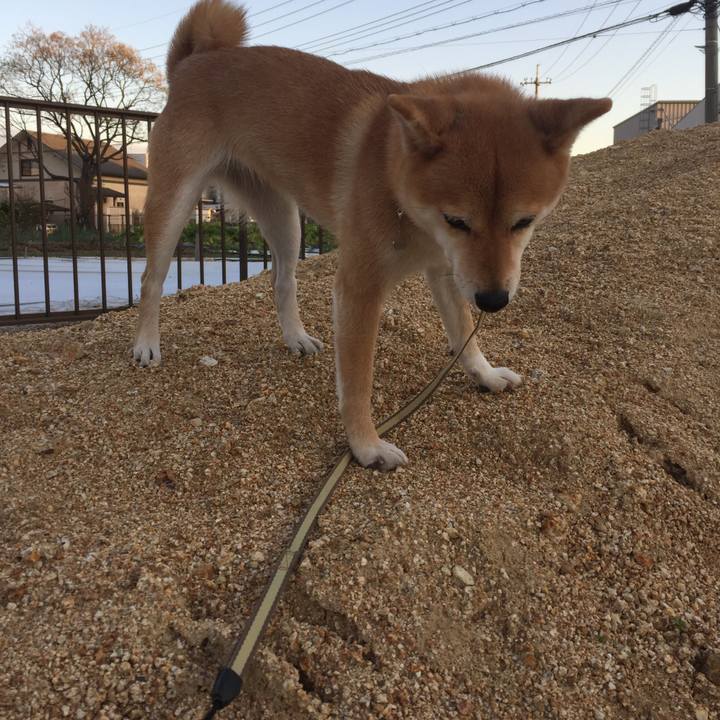 78708951 3bd7 4724 aa44 018ac8853389