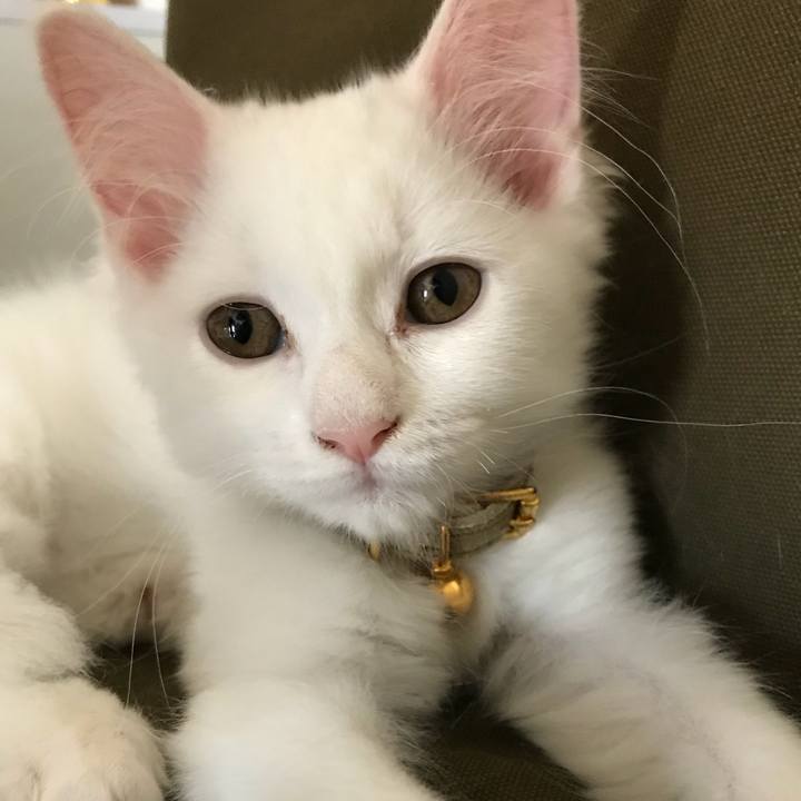 7870c785 18ef 4a2d be11 fcf3104b1656