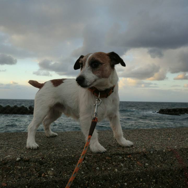 78713af5 d8ed 43d7 9fe8 30af49ff11d2