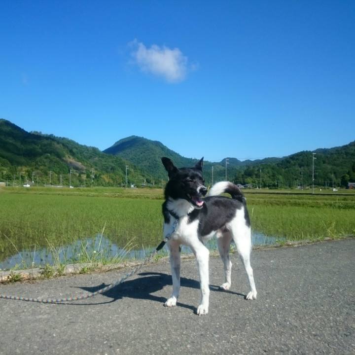 7872207a f7bd 426c a05a 1ca58114ac8c