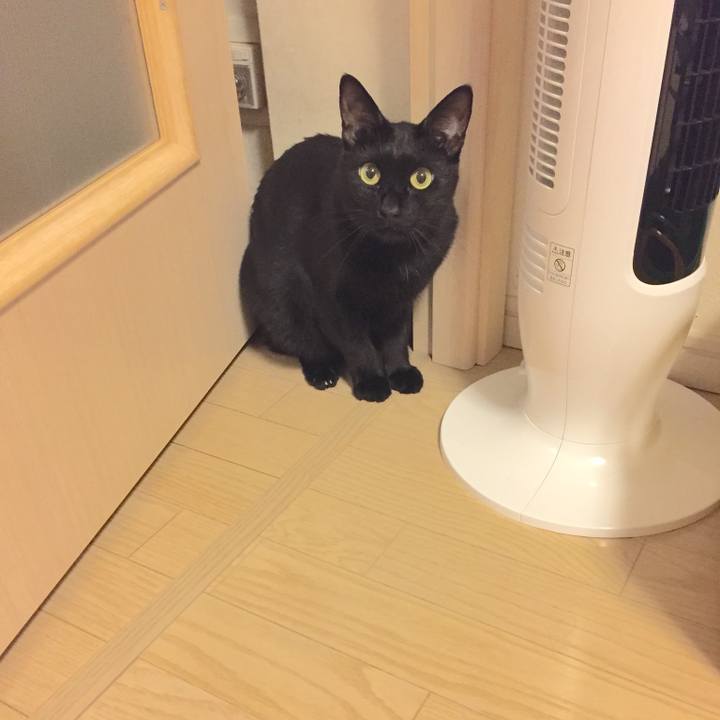 7872d335 adf5 44b4 a46b 85690c3e8868