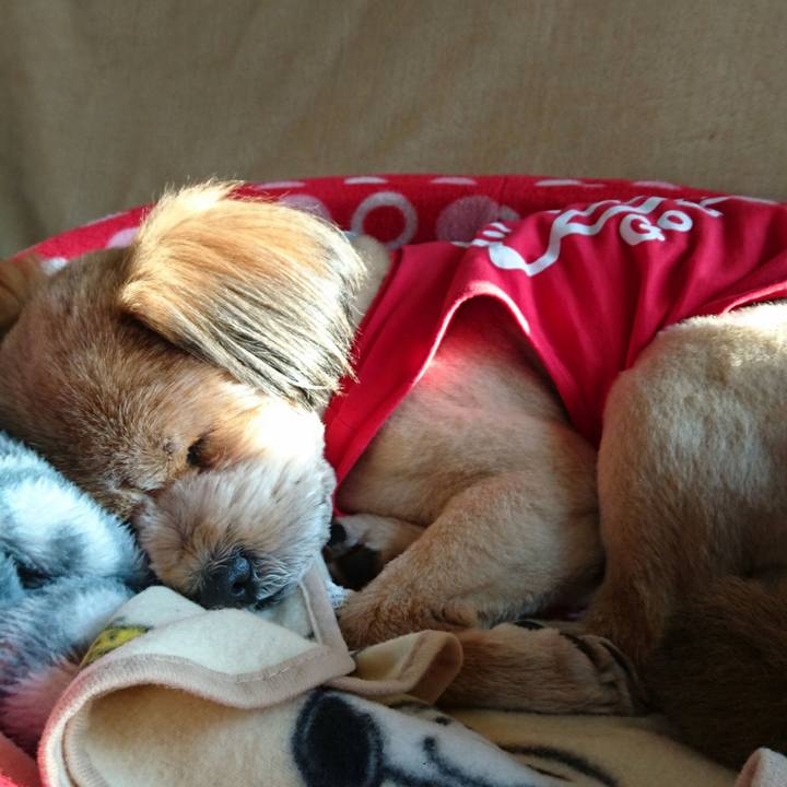 7873404a 6311 49e2 9f9b 2a642a640009