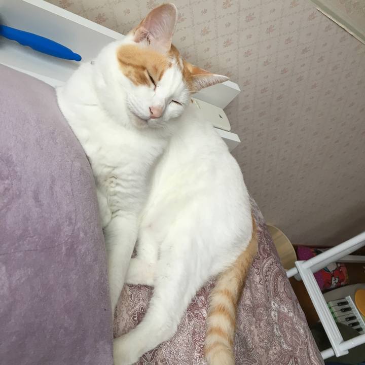 78737225 6a59 4b64 8e5e 36f204ba4ecd