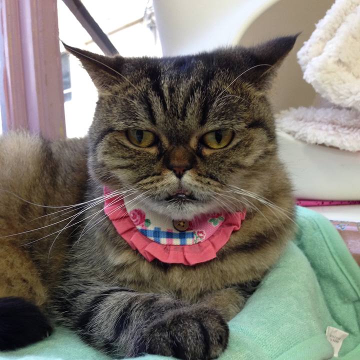 78741745 f809 4b04 abd3 8130a4aa95b0