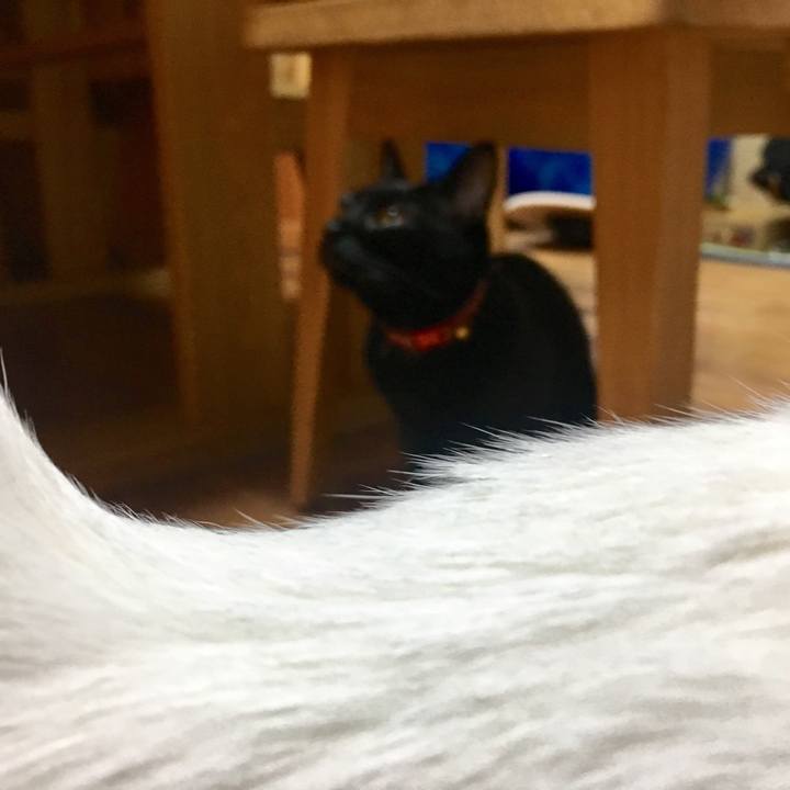 78748e65 731c 4992 b8b8 78892f35eba8