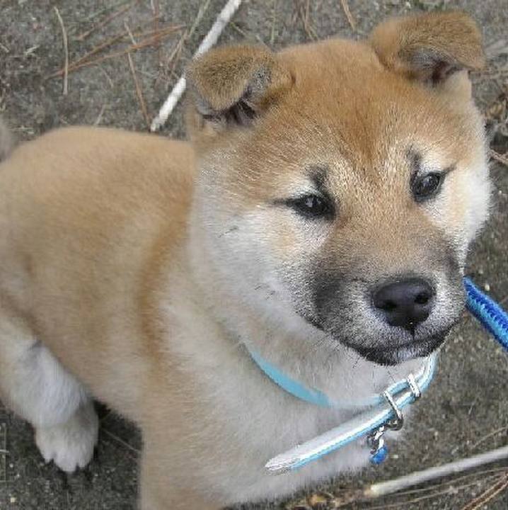 78749358 6387 402f ba44 2adca2abf930