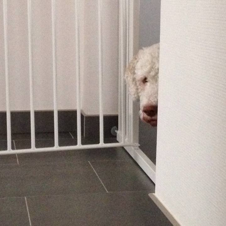 7874c080 0742 4239 a340 8918a60c4852