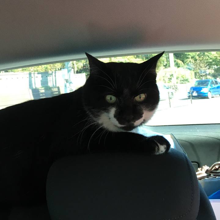 7874e5bf d6be 4d6e 933c 7a458eb2a08d