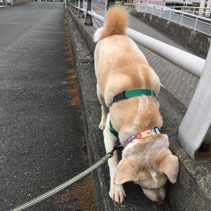 78750a0b a029 4fce b650 571df1d8c14f