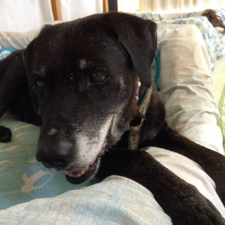 78752462 ed5d 4cf9 be72 b090fb3b40af