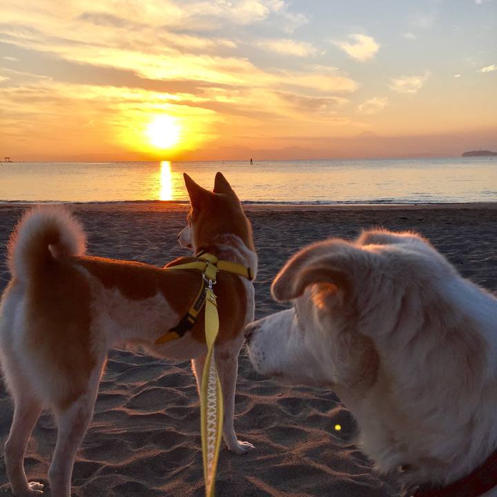 7875c767 3c65 477e 8dcf 298470278b4f