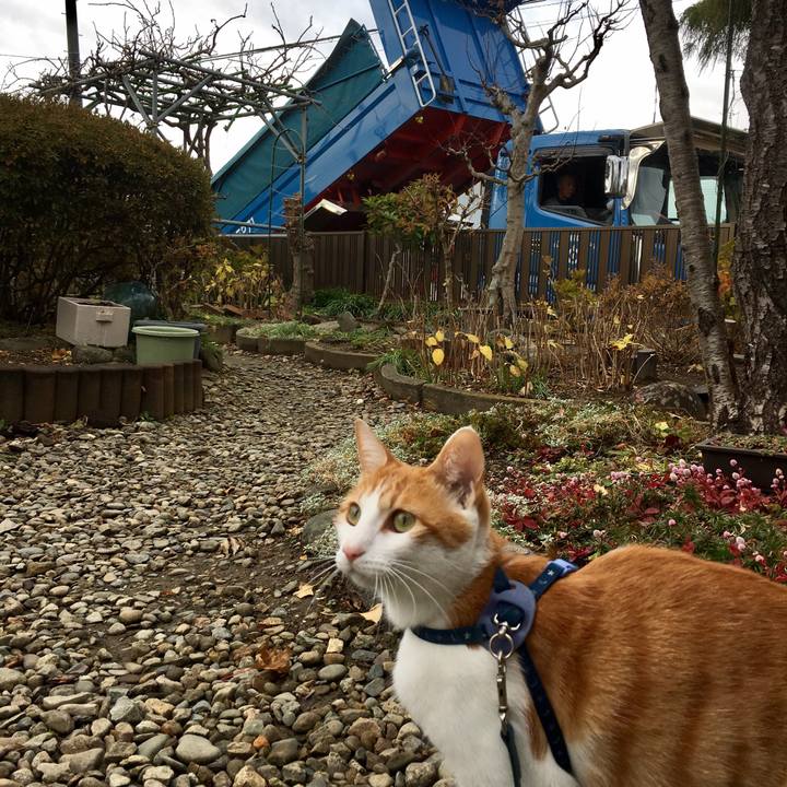 7875fd54 d1c0 40e8 82f2 0d32d6a297a2