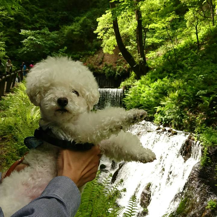 787638d9 0d99 4474 8fe8 60a6a52bc307