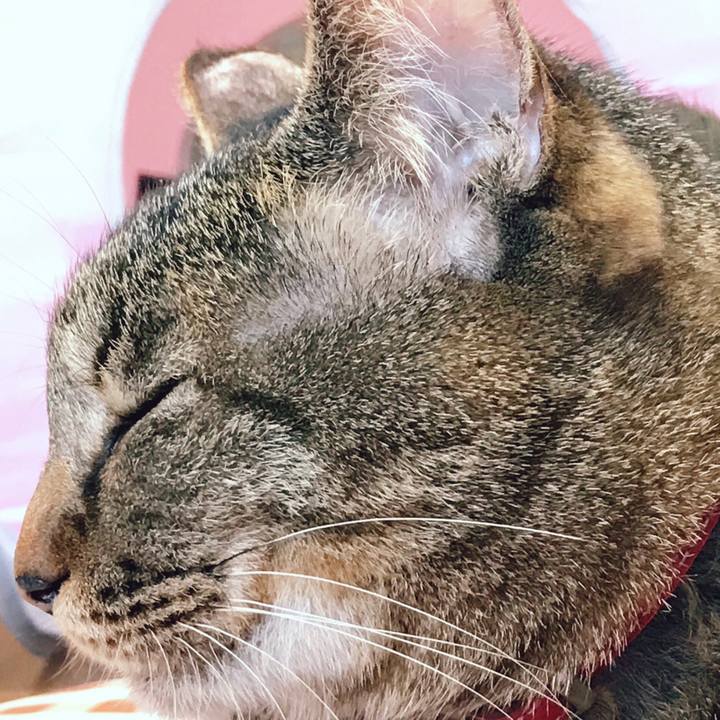 7876a829 36e7 4814 a4a5 8acef66cdbff