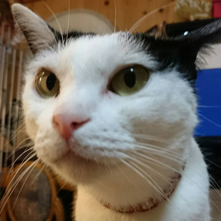 7876b9b2 202f 42f1 bfe0 5c9734a2462d