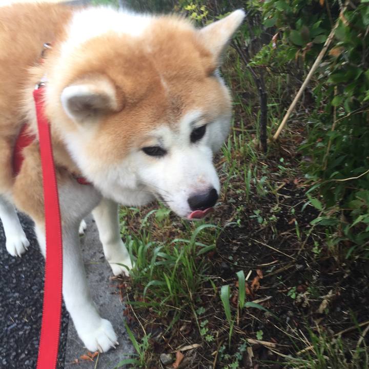 7876bb6a 827e 4925 b810 dd49b14fcec8