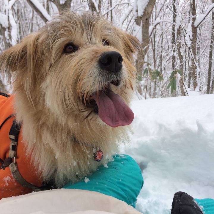 78770968 1e92 4492 a96c 2c7905118ef1