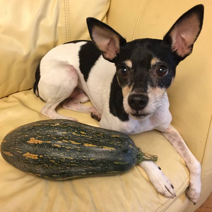 7877199e d733 4134 ae05 1d8aedc28d4e