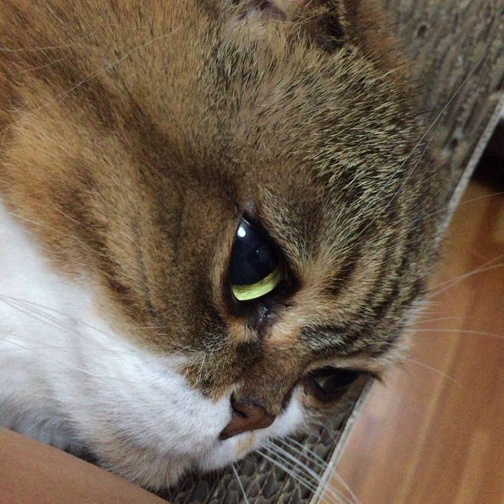 78773492 0f1f 46b7 a088 1fad8781dbbb