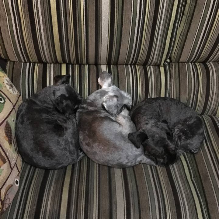 7877da02 27a9 4715 a2cd 08881c525487