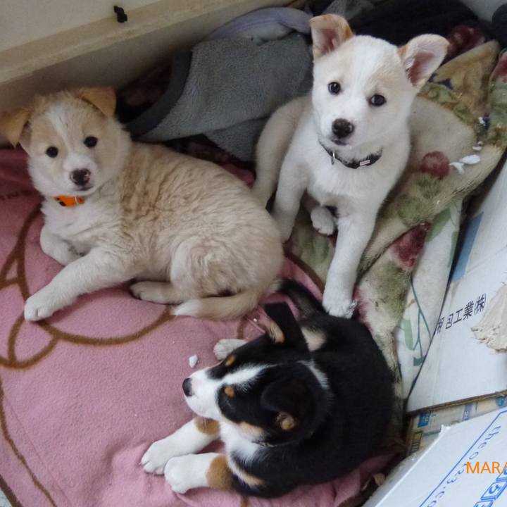 78788bfb 204d 47f3 8517 a3987ad0f5c3