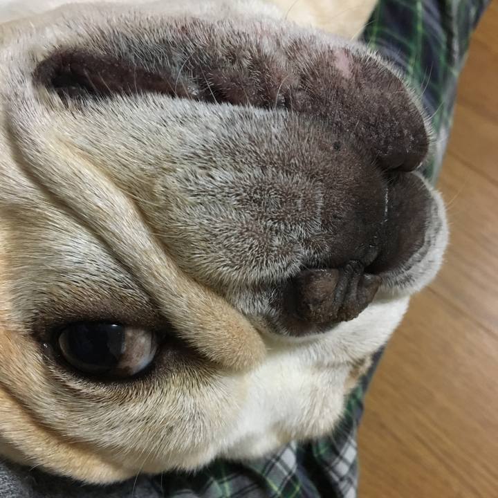 78799752 16f0 40b1 be1f 4ed6ecedc21c