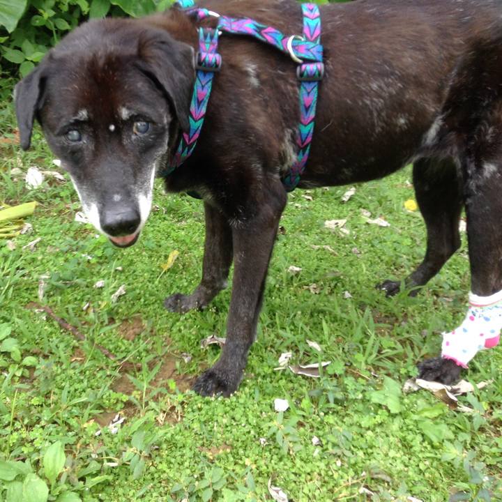 7879b590 3013 4866 852a 4c7ae1e6c81c