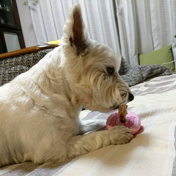 787a47f1 a0a7 4609 b53a 3ce928ec36f6