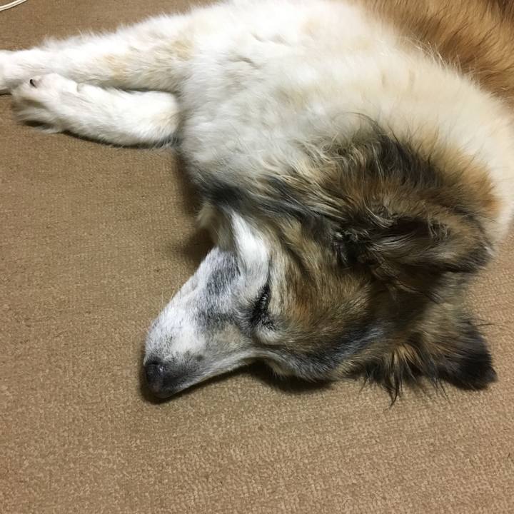 787acf2d 5235 47e1 8d57 4cc3d66b6ac2