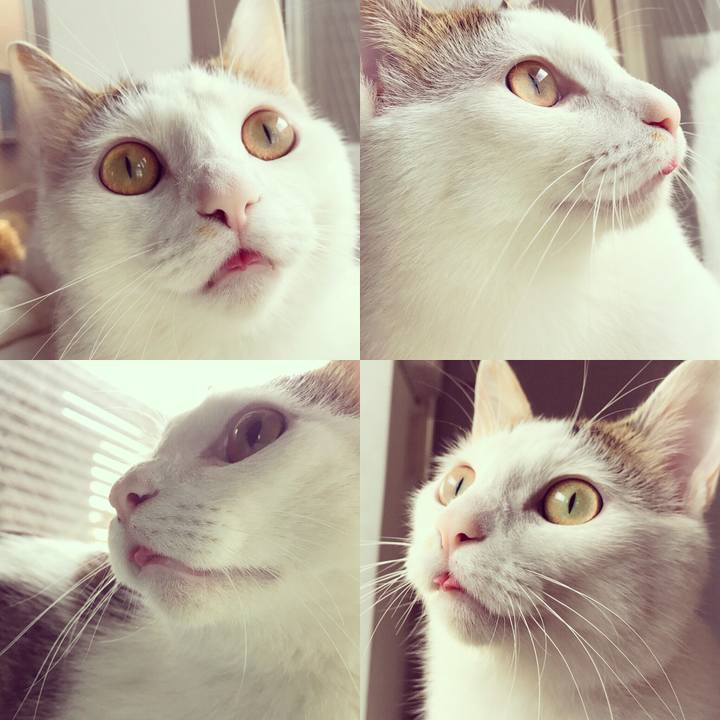 787b098a 999d 4901 a9d6 ffed7574ce1a