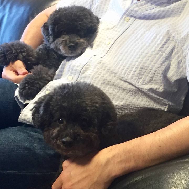 787b992b f300 42ff 8159 78b92eb3c1eb