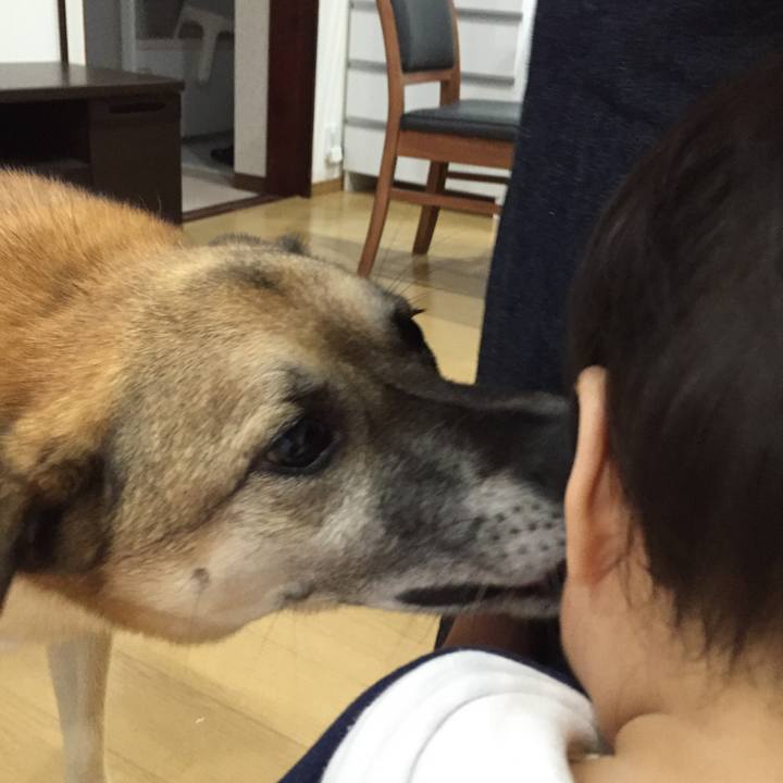 787d9bea 823a 42a9 b9ce 9b7601e6e116