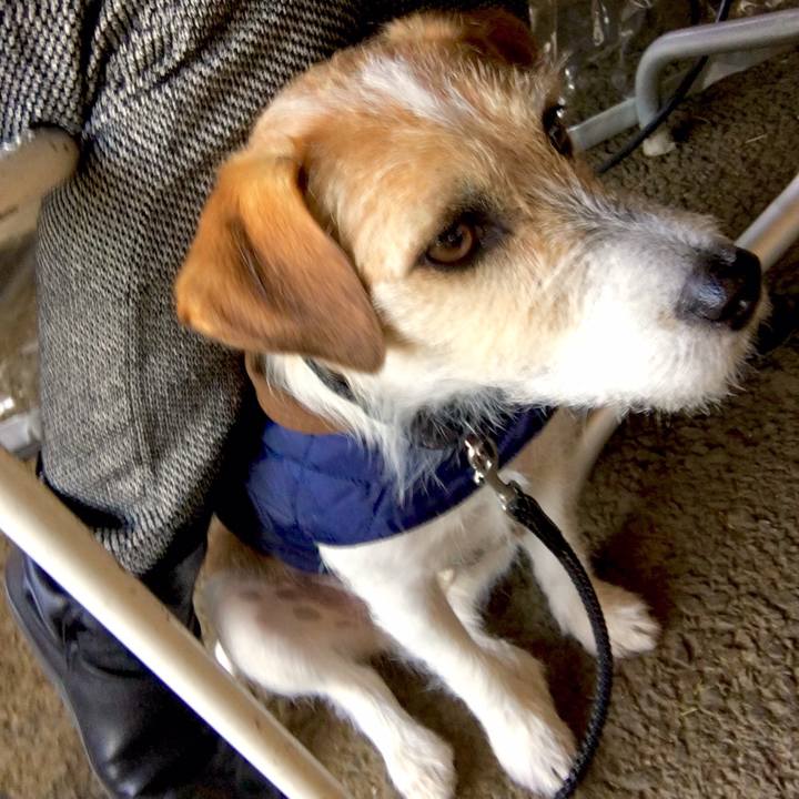 787e1921 558f 4b86 841f 77080018d9ae