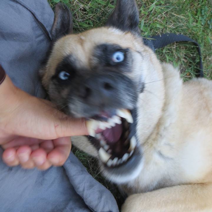 787e68f5 ad68 4471 ab13 f02399b75757