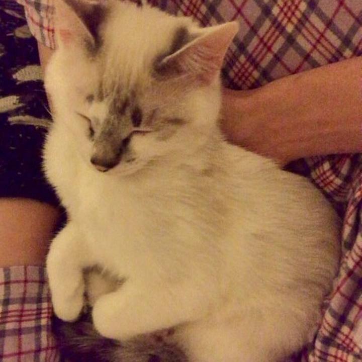 787ece10 7bff 48ec 9e08 d563d3f73f96