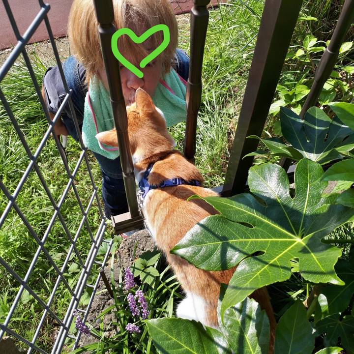 787f0ce5 8dab 48ec 9712 22675b57f588