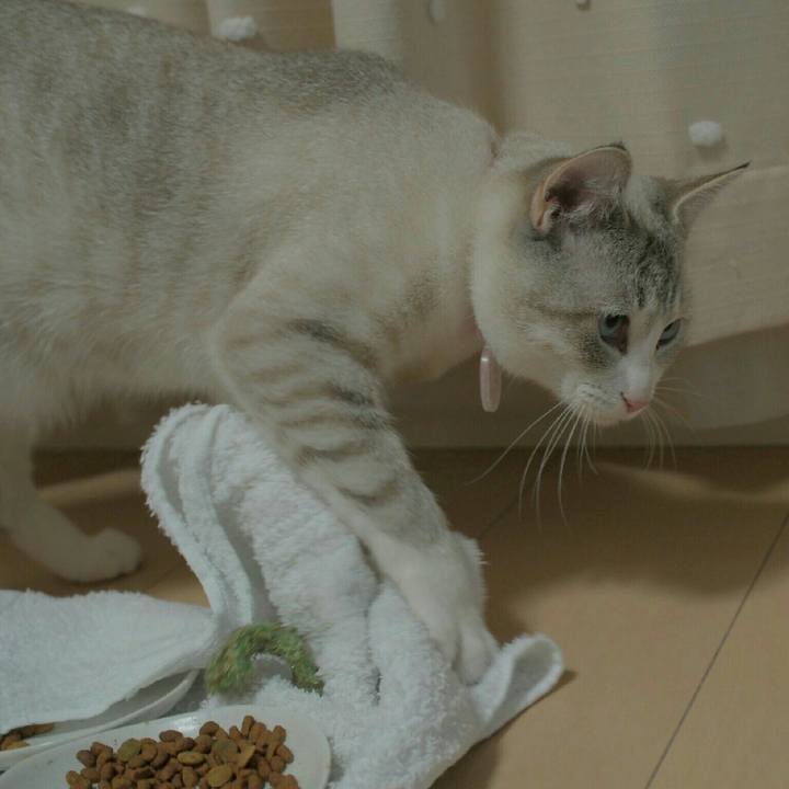 787f2c6b 9865 4c8a bf83 e83d6eb78f54