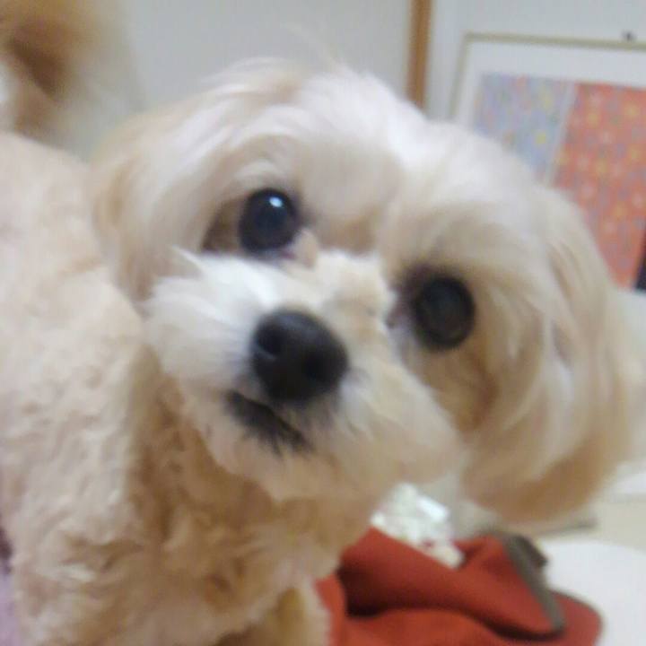 787f52a4 fe31 4631 99f9 11787d4cc9b5