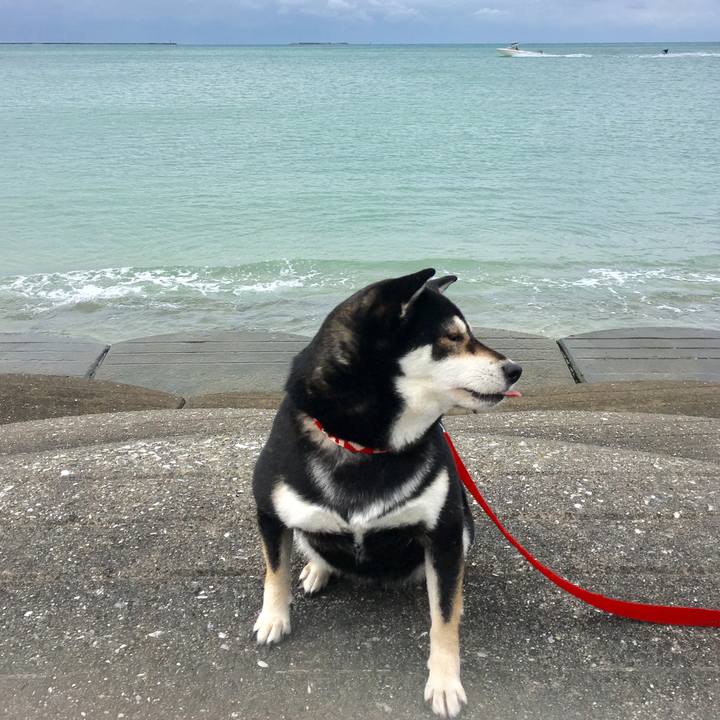 787f713d 801c 4248 a14b df97867ee843