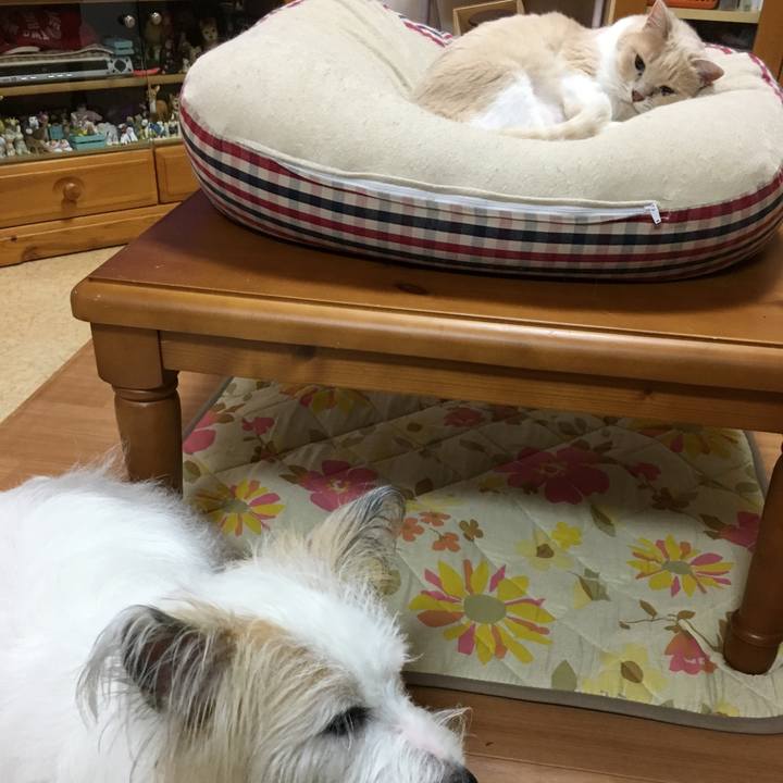 787fe17d 3e49 45b3 b665 0c03cc4f16b5