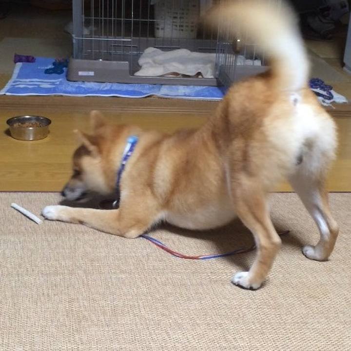 78804845 6d45 4a07 a2d0 9294ffdce26a