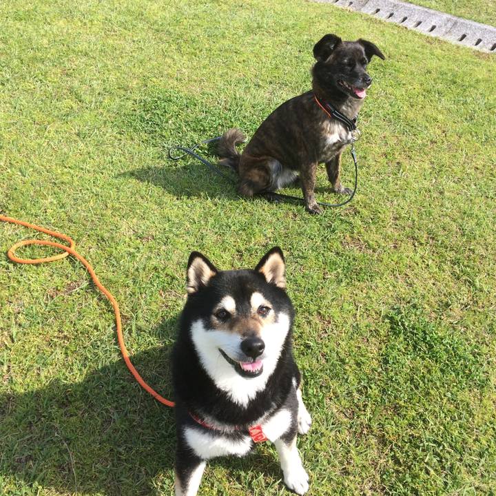 7880c1dc 0cd4 43bc a59b 6e5afa8faced