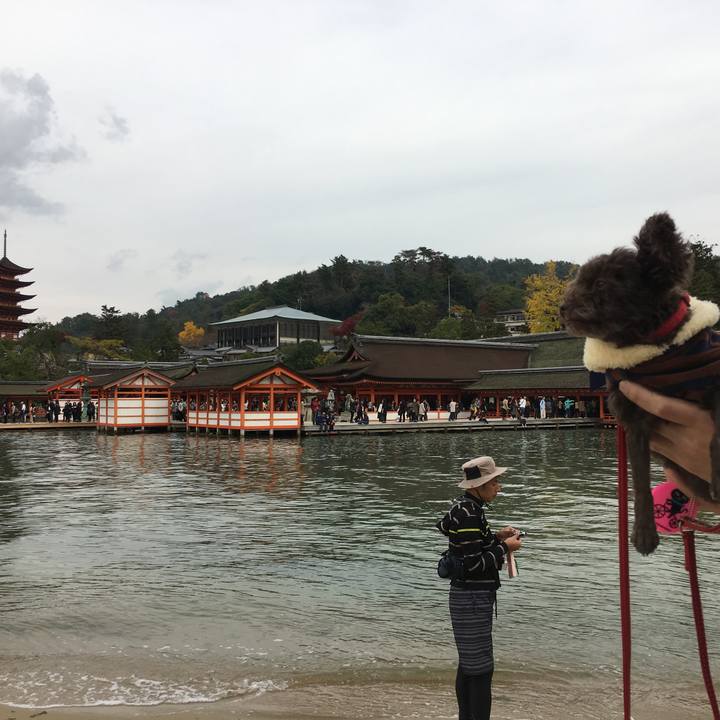 78816b5b 20b5 4538 b186 908f7aae76db